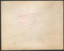 cca 1930-1950 Díjnyertes kutyák fotói, 6 db, egy kivételével hátuljukon pecséttel jelzettek, 14,5×18...