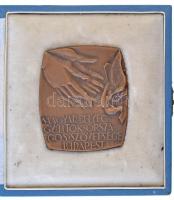 1978. "Magyar Bélyeggyűjtők Országos Szövetsége Budapest" Br plakett eredeti tokban, hátoldalán gravírozva "51. Bélyegnap - Katona J." (55,5x65mm) T:1-