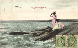 Christianiafjord, TCV card