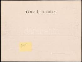 cca 1900 Budapest, Kálvin tér, villamos, gyógyszertár, Divald Károly felvétele 109. sz., fotónyomat,...