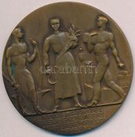 Varga Oszkár (1888-1955) ~1930-1940. "A magyar kivitel fejlesztéséért M. K. Külkereskedelmi Hivatal" Br plakett "LUDVIG" gyártói jelzéssel (70mm) T:2 kis oxidációs fo.