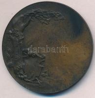 Német Birodalom ~1914-1915. "Der Deutsche Kronprinz" Vilmos koronaherceget ábrázoló Br pla...