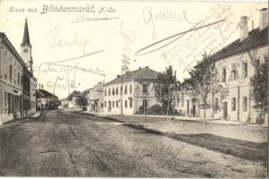 Blindenmarkt, Volksschule / street view, school, Isidor Mühlhauser (EK)