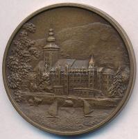 Tóth Sándor (1933-) DN "Miskolc / Lillafüred" Br emlékérem (42,5mm) T:1-,2