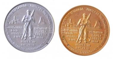 Kanada 1967. "A bányászat szerepe Kanada fejlődésében - Kiadva Ontario Kormánya által" Cu-Ni-Zn emlékérem 2db klf kiadásban (36mm) T:1- Canada 1967. "Minted by the Ontario Government to commemorate the role of mining in the development of Canada" 2pcs of diff Cu-Ni-Zn commemorative medallions (36mm) C:AU