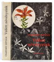 Csapody István: Védett növényeink. Bp., 1982, Gondolat. Kartonált papírkötésben, jó állapotban.