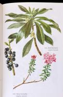 Csapody István: Védett növényeink. Bp., 1982, Gondolat. Kartonált papírkötésben, jó állapotban