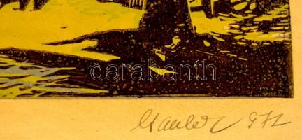 Csavlek András (1942- ): Eső után, színes linó, papír, jlezett, 19,5×33 cm