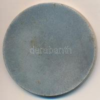 1968. "Salgótarjáni Acélárugyár 1868-1968" ezüstözött fém emlékérem (50mm) T:2