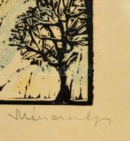 Mészáros Lajos (1925-1971): Lillafüred, színes linómetszet, papír, jelzett, üvegezett fa keretben, 3...