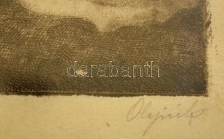 Olejnik Janka (1887-1954): Studium, rézkarc, papír, jelzett, paszpartuban, üvegezett fa keretben, 9,...