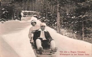 Tátra, Téli élet a Magas-Tátrában, szánkózó pár / Sledding couple in winter