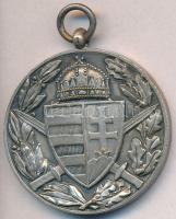 1929. "Magyar Háborús Emlékérem kardokkal, sisakkal" ezüstözött Br kitüntetés mellszalag n...