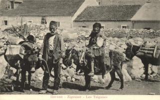 Cetinje, Cettigne; Zigeuner / Les Tziganes / gypsies with donkeys. A. Reinwein