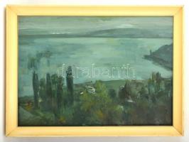 Völgyi Dezső (1926-1994) : Balaton part. Olaj, farost, jelzett, üvegezett keretben, 50×70 cm