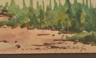 Simándy József(?-?): Balaton. Akvarell, papír, üvegezett keretben, 14x20 cm