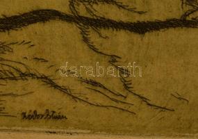 Zádor István (1882-1963): Halász, színezett rézkarc, papír, jelzett, paszpartuban, 34,5×21,5 cm