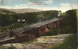 Pozsony, Pressburg, Bratislava; Vörös vasúti híd gőzmozdonnyal / Rote Brücke / railway bridge, locomotive