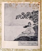 Hegedüs Sándor: A lélekbúvár. Bp.,1917, Franklin. Átkötött egészvászon-kötés, ex libris-szel. A szer...