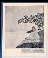 Hegedüs Sándor: Kék Nilus. Bp.,[1937], Singer és Wolfner. Átkötött egészvászon-kötés, az eredeti bor...