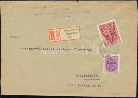 Kárpátalja ajánlási ragjegy gyűjtemény 10 lapos közepes berakóban közte ragjegyek a magyar és csehsz...