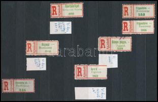 Kárpátalja ajánlási ragjegy gyűjtemény 10 lapos közepes berakóban közte ragjegyek a magyar és csehsz...