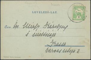 Pétervására, Keglevich kastély, Teichner Gyula kiadása (EK)