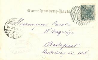 1904 Abbazia, előkelőségek hintóban / notables in horse cart, A. Jelussich photo