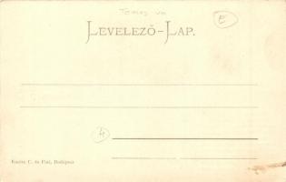 Denta, gróf Karátsonyi Jenő rizshántoló gyára és műmalma, Carolina malom, Kanitz C. és Fiai / rice p...