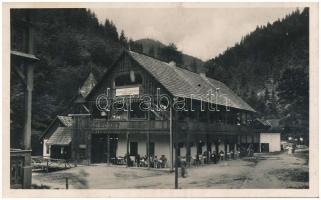 Radnaborberek-fürdő, Valea Vinului; M. kir. Földművelési Minisztérium üdülőtelepe / spa