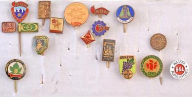 Csehszlovákia 1950-1980. 53db kitűző, közte DN "Luhacovcie" zománcos kitűző, DN "Slovenská Ústredná Hvezdáreň Hurbanovo" obszervatóriumot ábrázoló kitűző (2x) T:2 Czechoslovakia 1950-1980. 53pcs of pins, with "ND "Luhacovice" enamelled pin, ND "Slovenská Ústredná Hvezdáreň Hurbanovo" pin depicting an Observatory (2x) C:XF