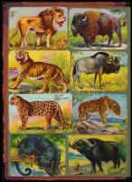 kb 120 db litho gyűjtőkép berakóban