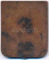 Amerikai Egyesült Államok DN "16. Gyalogezred" címere, zománcozott Br lapkán (28x35mm) T:2...