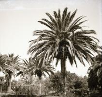 cca 1930 Olaszországi felvételek, 63 db szabadon felhasználható, vintage negatív, 6x6 cm