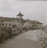 cca 1967 Kecskeméti felvételek, 13 db negatív Medgyesi László (?-?) kecskeméti fotóművész hagyatékáb...