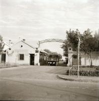 cca 1967 Kecskeméti felvételek, 13 db negatív Medgyesi László (?-?) kecskeméti fotóművész hagyatékáb...