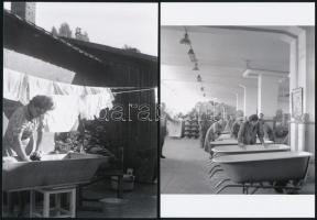 cca 1960 Kecskeméti életképek, 4 db vintage negatívról készült mai nagyítás, 13x18 cm és 18x25 cm