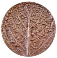 1995. "Az 50 éves Szabad Föld Jubileumára" Br plakett. Szign.: CK (?) (95mm) T:2