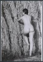 cca 1969 Nádazónak asszonykája, 3 db szolidan erotikus fénykép, vintage negatívokról készült mai nag...