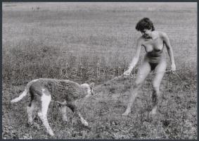 cca 1977 Vizuális jegyzetek, 4 db szolidan erotikus fénykép, vintage negatívokról készült mai nagyít...