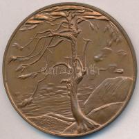 Kiss Nagy András (1930-1997) DN "Csontváry Tivadar" Br emlékérem (60mm) T:1- kis ph., pati...