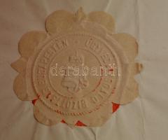 1875 Az ügyvédvizsgáló bizottság képesítő oklevele Flittner Frigyes (?-?) ügyvéd, az Osztrák-Magyar ...