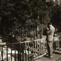 1964 Bónis Katalin: Tátrai út, 28 db vintage negatív egy autóbuszos kirándulásról, 6x6 cm és 9x6 cm