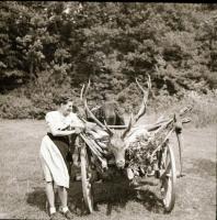 1964 Bónis Katalin: Tátrai út, 28 db vintage negatív egy autóbuszos kirándulásról, 6x6 cm és 9x6 cm