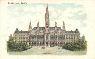 Vienna, Wien I. Rathaus, Verlag E. Storch (EK)