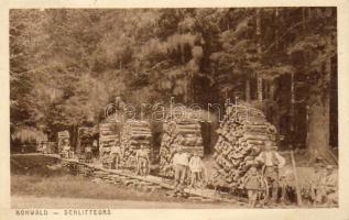 Holzfäller Hohwald Foto AK