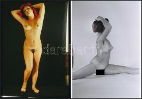 cca 1976 Esztétikai élmények, 13 db szolidan erotikus fénykép, vintage negatívokról készült mai nagy...