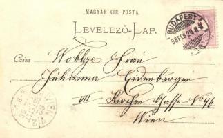 1898 Budapest V. Országház télen, D. Halberstadt kiadása s: H. Skocek (fa)