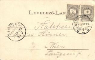 1899 Budapest XII. Svábhegyi fogaskerekű vasút, Divald Eperjes kiadása (EK)