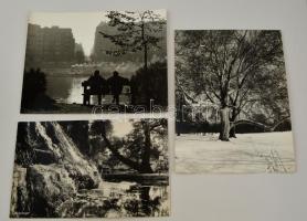 cca 1950 és 1970 Budapest, Margitsziget, 3 db feliratozott vintage fotó, 25x40 cm és 40x30 cm között